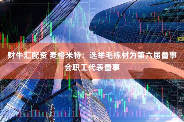 财牛汇配资 麦格米特：选举毛栋材为第六届董事会职工代表董事