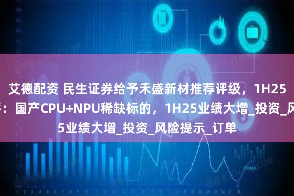艾德配资 民生证券给予禾盛新材推荐评级，1H25业绩预告点评：国产CPU+NPU稀缺标的，1H25业绩大增_投资_风险提示_订单